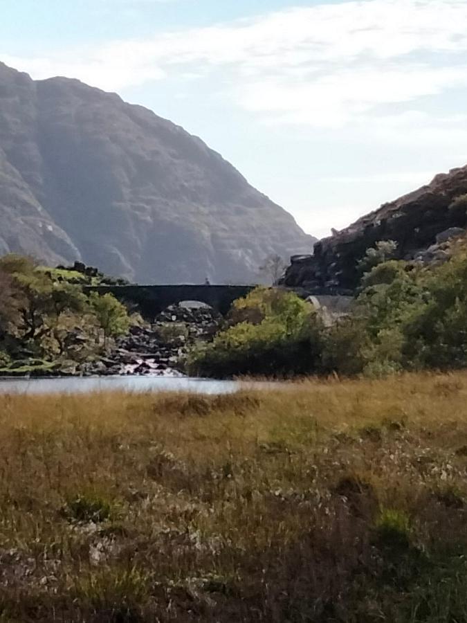 Larkfield House B&B, Ballycasheen Kerry V93 Wd51 Cill Airne Esterno foto