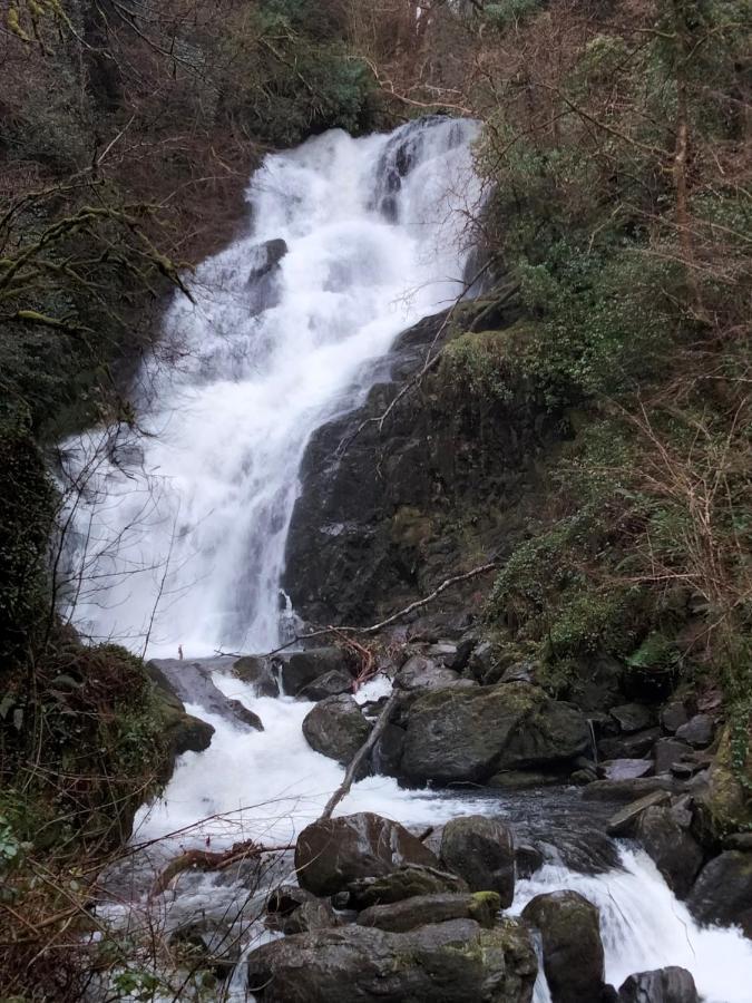 Larkfield House B&B, Ballycasheen Kerry V93 Wd51 Cill Airne Esterno foto