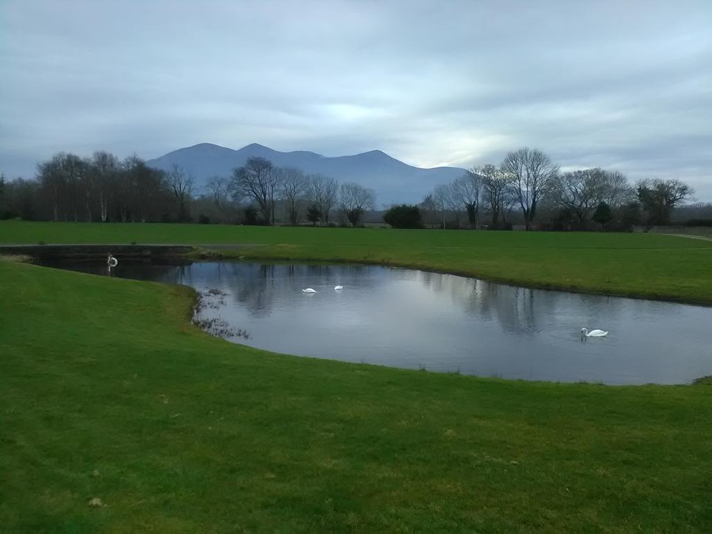 Larkfield House B&B, Ballycasheen Kerry V93 Wd51 Cill Airne Esterno foto