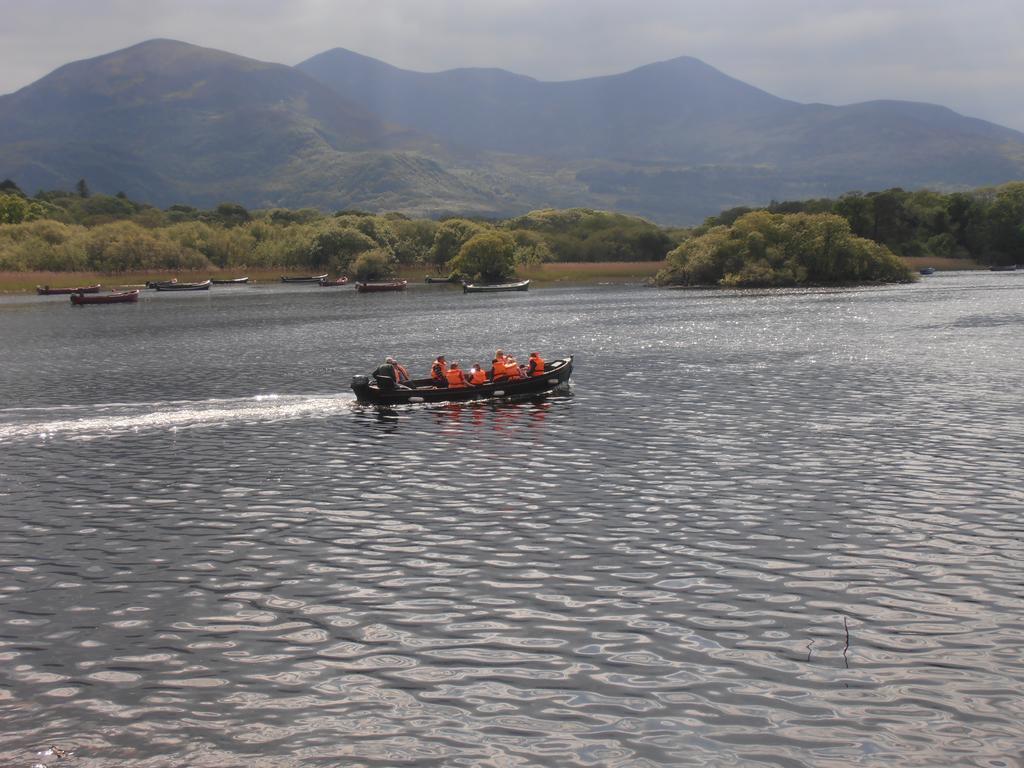 Larkfield House B&B, Ballycasheen Kerry V93 Wd51 Cill Airne Esterno foto