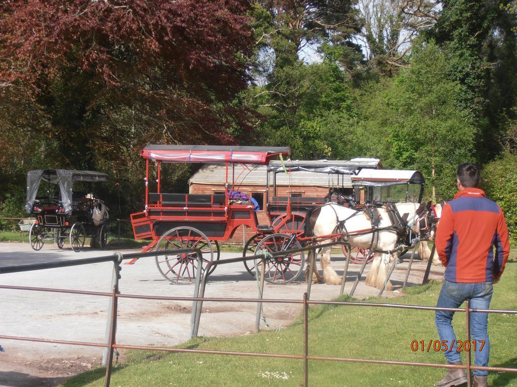 Larkfield House B&B, Ballycasheen Kerry V93 Wd51 Cill Airne Esterno foto