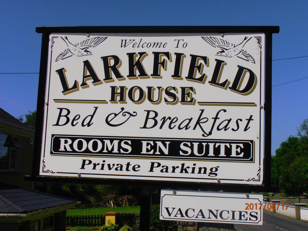 Larkfield House B&B, Ballycasheen Kerry V93 Wd51 Cill Airne Esterno foto